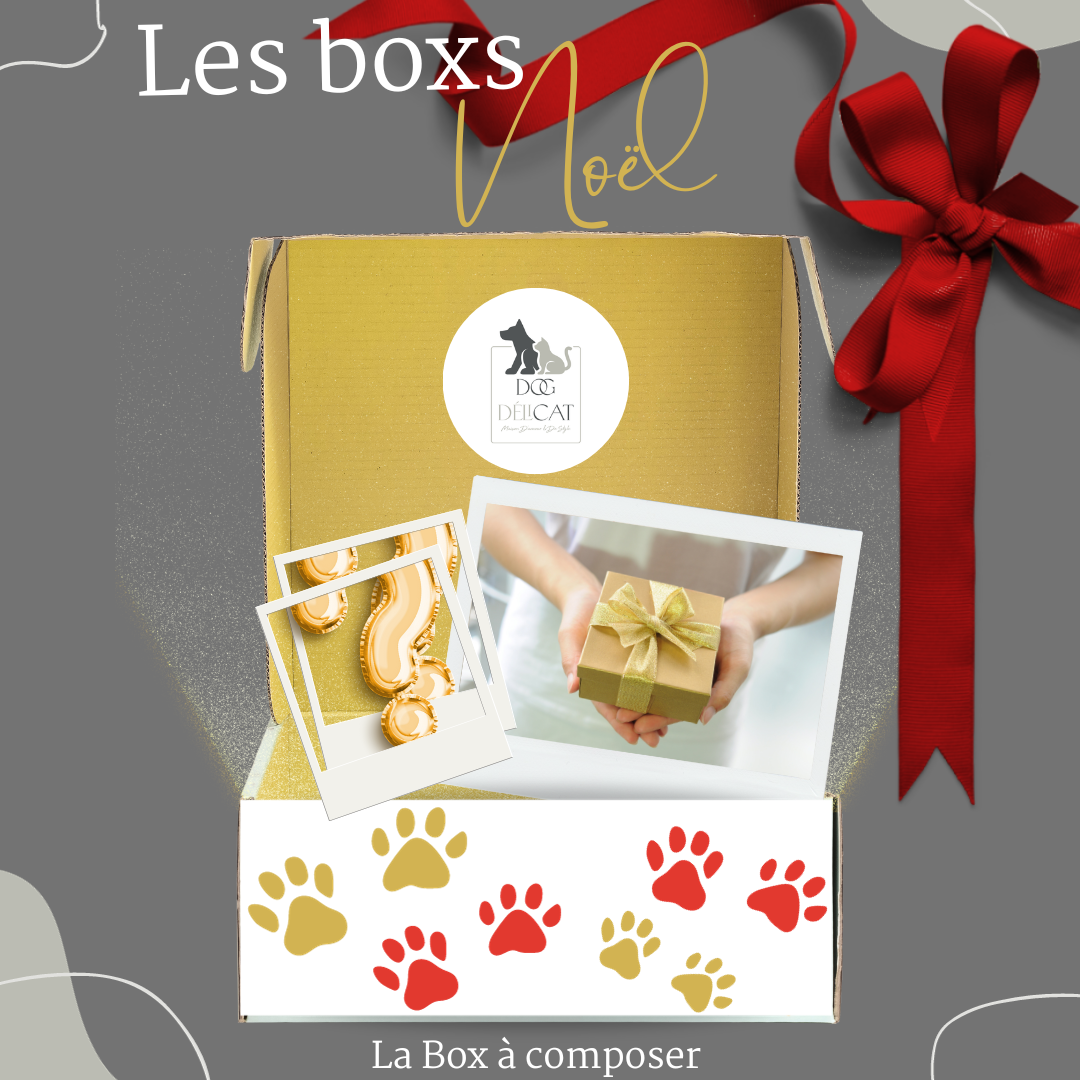 Boîte cadeau de Noël personnalisée pour adultes, cadeau de Noël pour  chiens, cadeau de Noël, cadeau pour femme, cadeau de patron, coffret de  Noël pour chiens, -  France