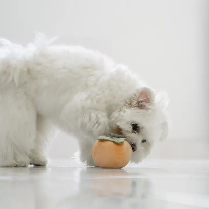 Le jeu d'occupation et de fouille pour chien Kaki de Lambwolf Collective chez DOG DéliCAT.