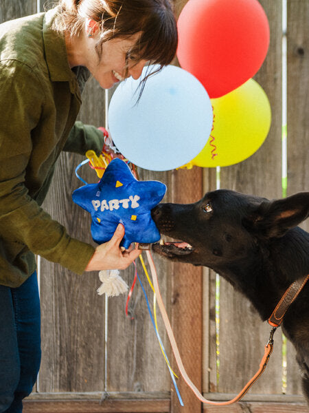 Jouet en peluche pour chien - Ballon d'anniversaire PET PLAY DOG DELICAT