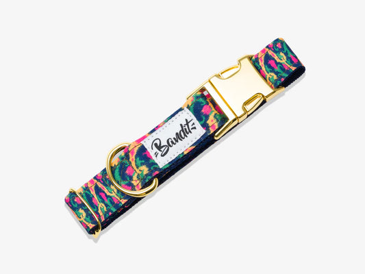 Collier pour chien motif BOLLYWOOF multicolore de la marque BANDIT