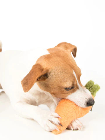 Stimulez le jeu de votre chien avec cette carotte en peluche durable et écologique.
