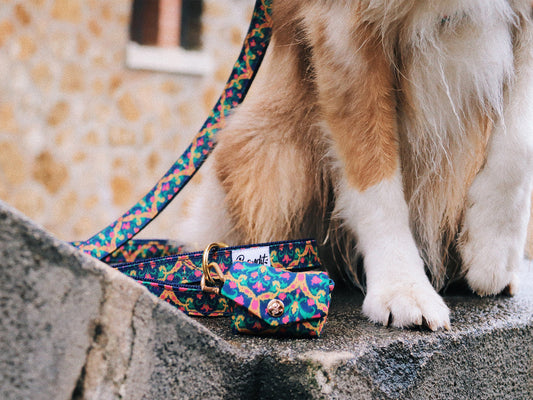 Pochette pour sacs d'hygiène pour chien Bollywoof multicolore de la marque BANDIT chez DOG DéliCAT
