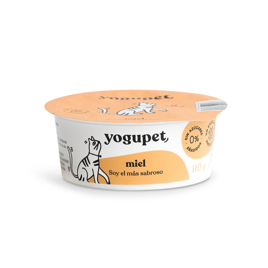Yaourt sans lactose pour chat au miel de Yogupet - Une délicieuse friandise enrichie en calcium et prébiotiques.