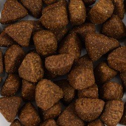 Croquettes chiens sans céréales au Saumon - Made in France