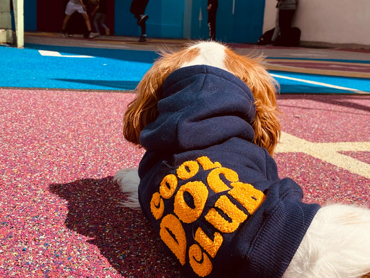 Hoodie brodé Cool Dog Club pour chien - Bleu marine