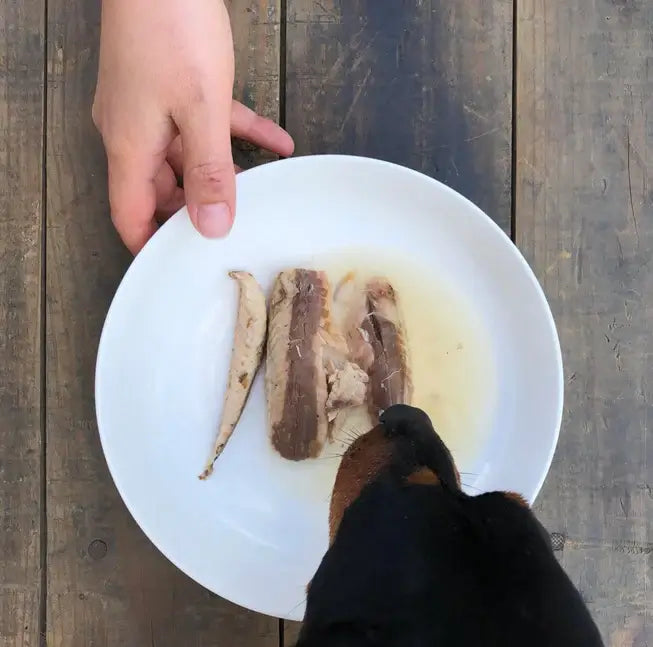 Conserves de poisson canumi pour chiens et chats. Pour une alimentation naturelle et saine à retrouver chez DOG DELICAT.