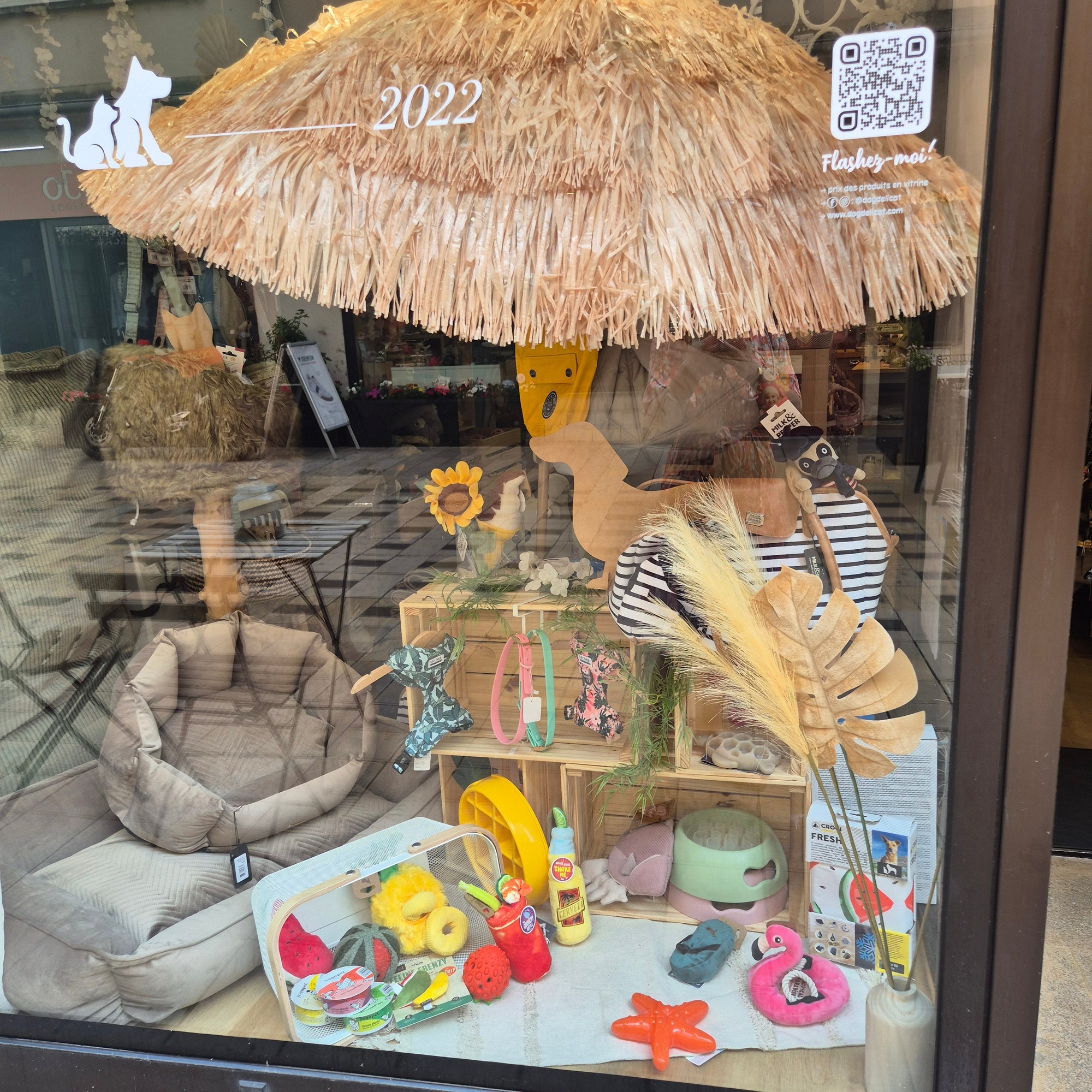 Vitrine DOG DéliCAT : accessoires saisonniers chien et chat à découvrir en ligne