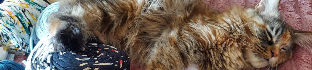Collection Les Pepettes Créations pour Jouets Chats - DOG DELICAT