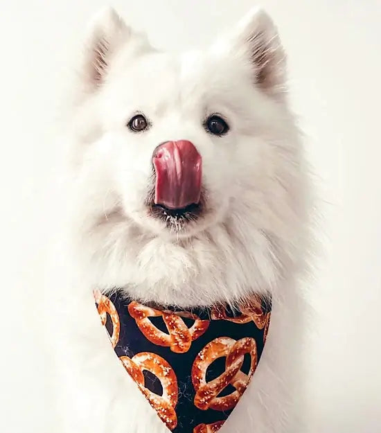 bandanas pour chiens