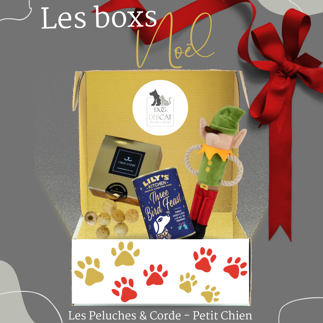 Boxs de Noël pour chiens