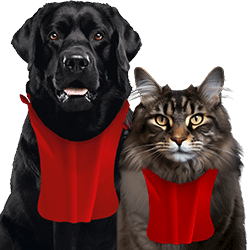Alimentation sans céréales Atavik pour chiens et chats – croquettes et pâtées