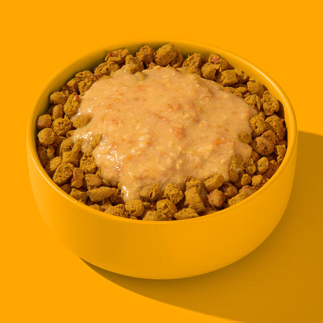 FRED & FELIA – Recettes Naturelles pour Chiens et Chats exigeants