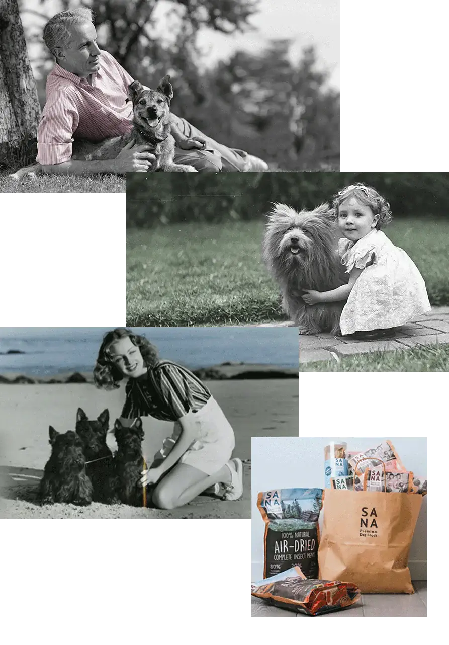 Collection Sana - Friandises Naturelles pour Chiens