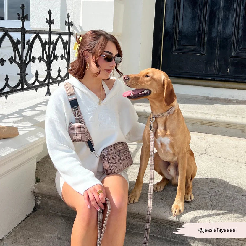 Total look Pup Plaid Cocopup – accessoires assortis pour chien chic