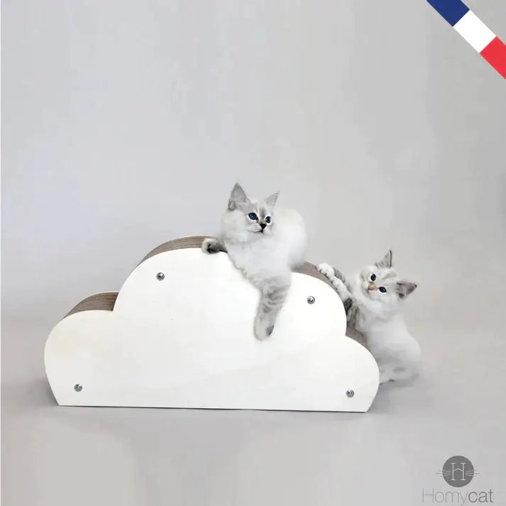 arbre à chat naturel et griffoir design pour intérieur stylé