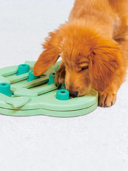 Jeux d'occupation Nina Ottosson pour chien et chat, stimulants.