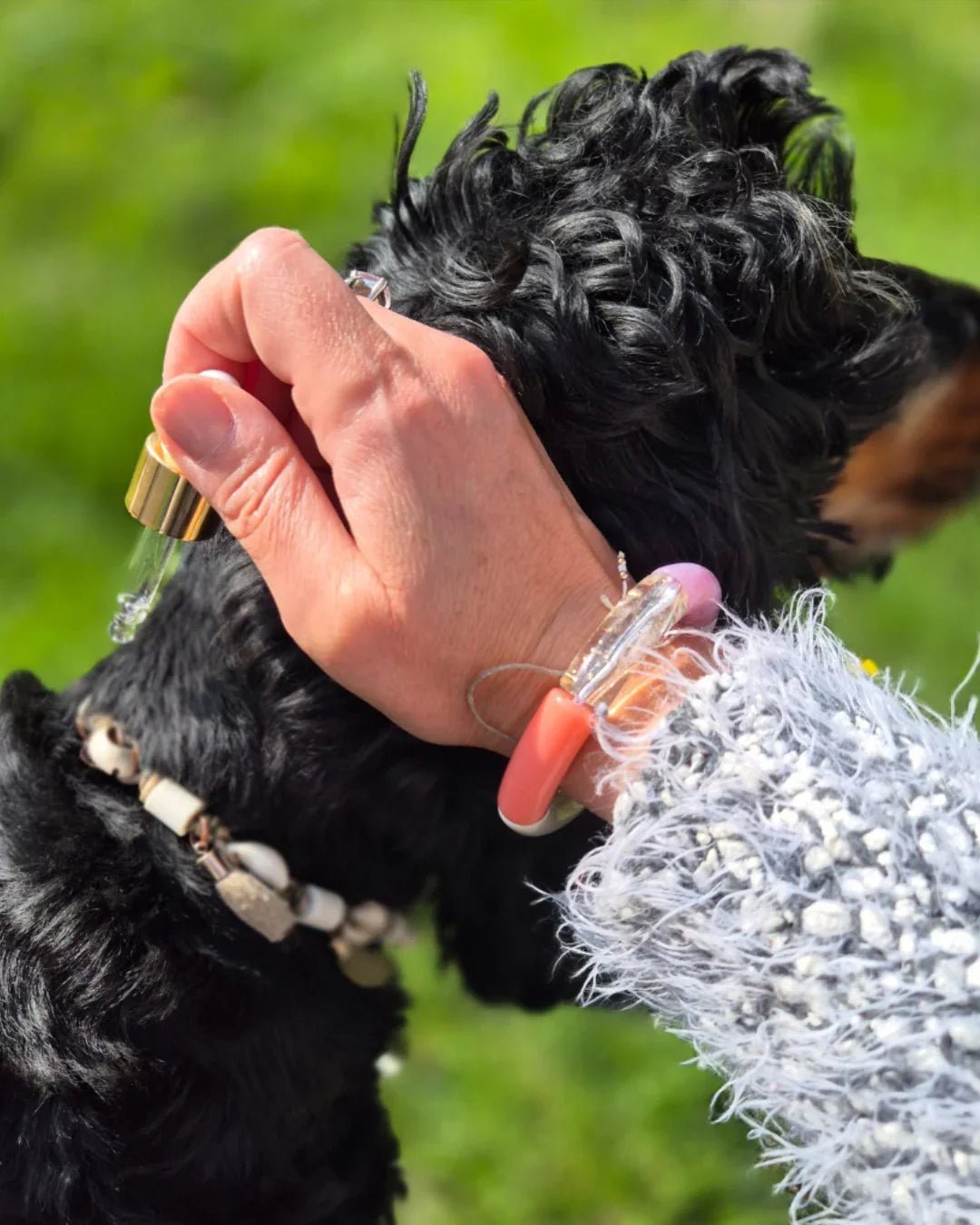 Antiparasitaires naturels pour chiens sensibles - DOG DéliCAT