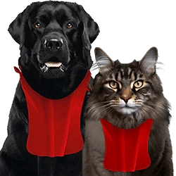 ATAVIK – Alimentation naturelle sans céréales pour chiens et chats - DOG DéliCAT