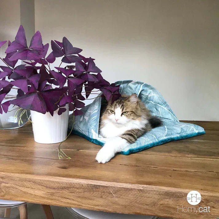 Coussins, plaids et couvertures pour Chats - Instants Cocooning - DOG DéliCAT