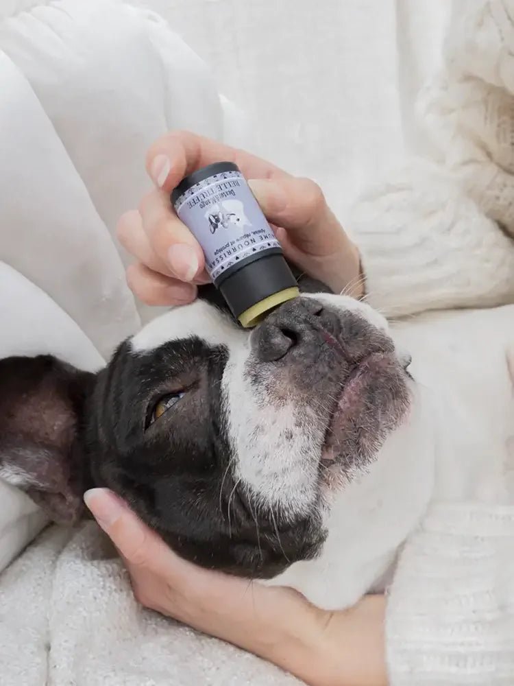 DEXTER & MANGO – Soins naturels chien made in France pour peau apaisée - DOG DéliCAT