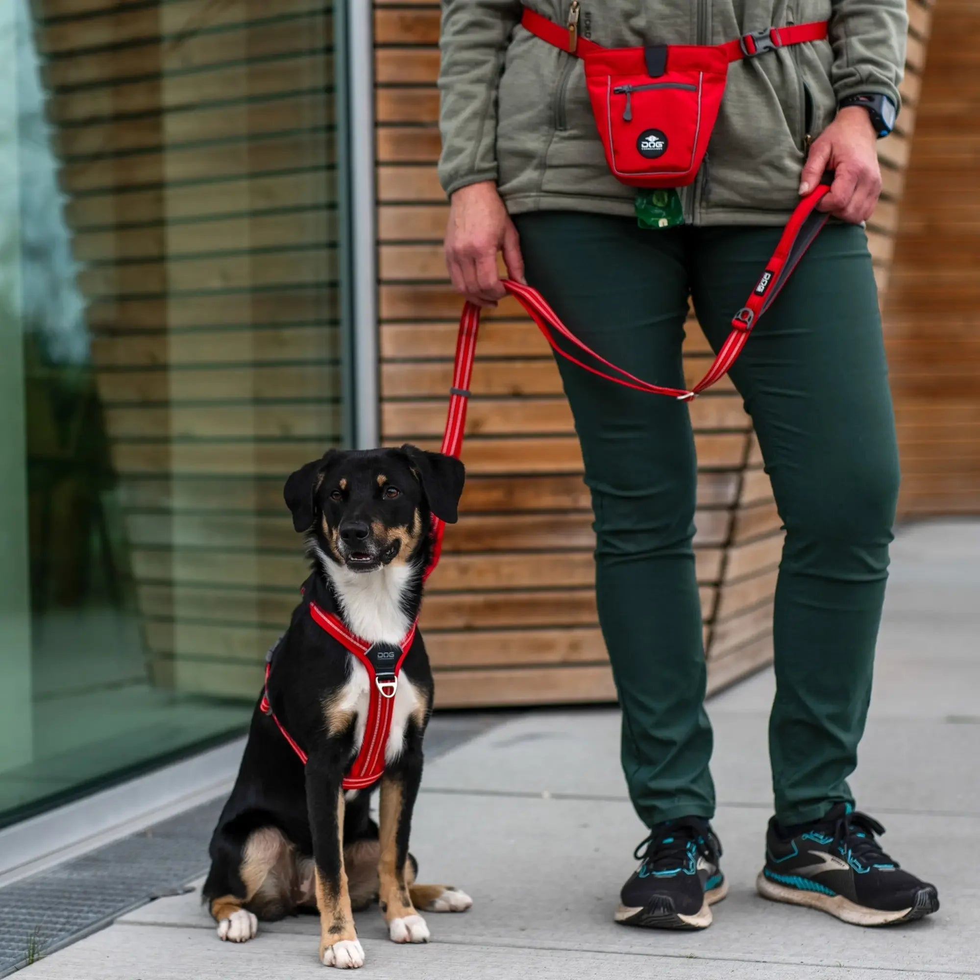 DOG Copenhagen – Accessoires techniques, confort & sécurité pour chiens - DOG DéliCAT