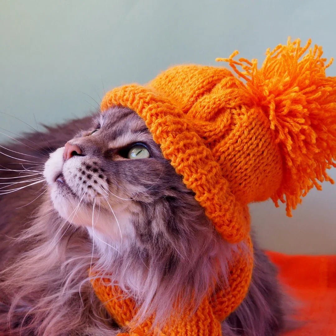 DRESSING CHAT – Colliers élégants, bijoux félins et accessoires stylés - DOG DéliCAT