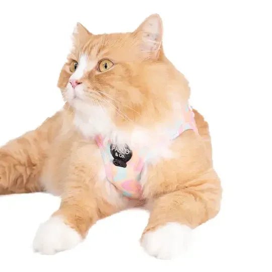 Harnais et accessoires de sortie - pour chats exigeants - DOG DéliCAT