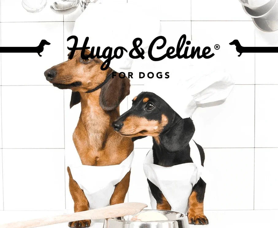 HUGO & CELINE - Friandises premium pour chiens - DOG DéliCAT