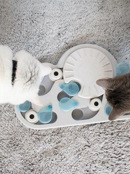 Jeux d’occupation - pour chats gourmands et futés - DOG DéliCAT