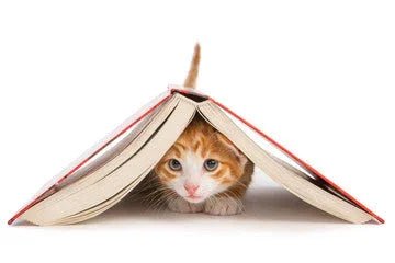 Livres sur les chats pour petits et grands passionnés - DOG DéliCAT