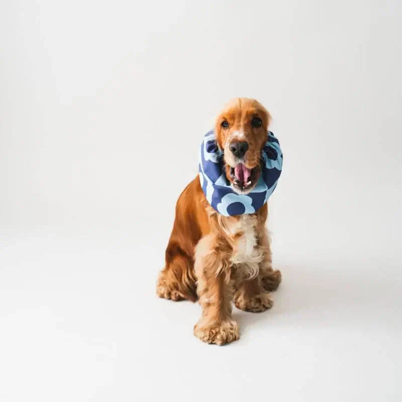 Collection Lou & Co. - Accessoires pour chiens faits main en Europe, snoods élégants et fonctionnels en coton.