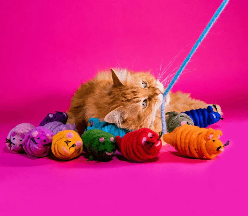 MIMI's DAUGHTER - Jouets en Laine Naturelle pour Chats - DOG DéliCAT