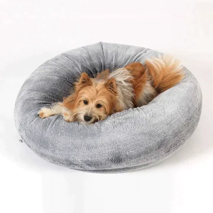 Paniers pour chiens – couchages stylés, confortables et faciles à entretenir - DOG DéliCAT