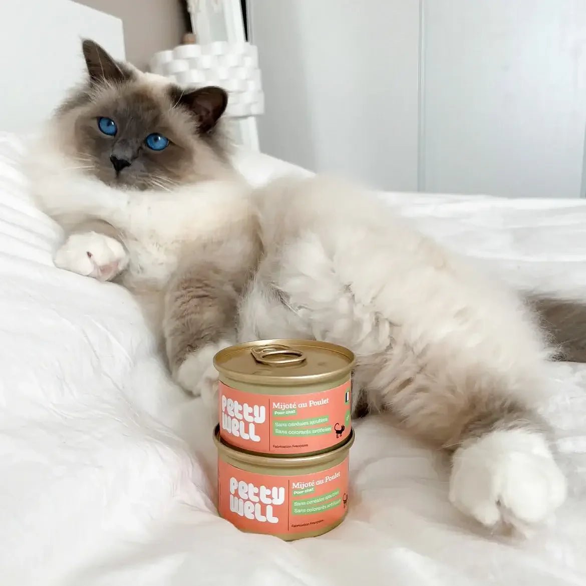 PETTY WELL - Repas Naturels pour Chiens et Chats - DOG DéliCAT