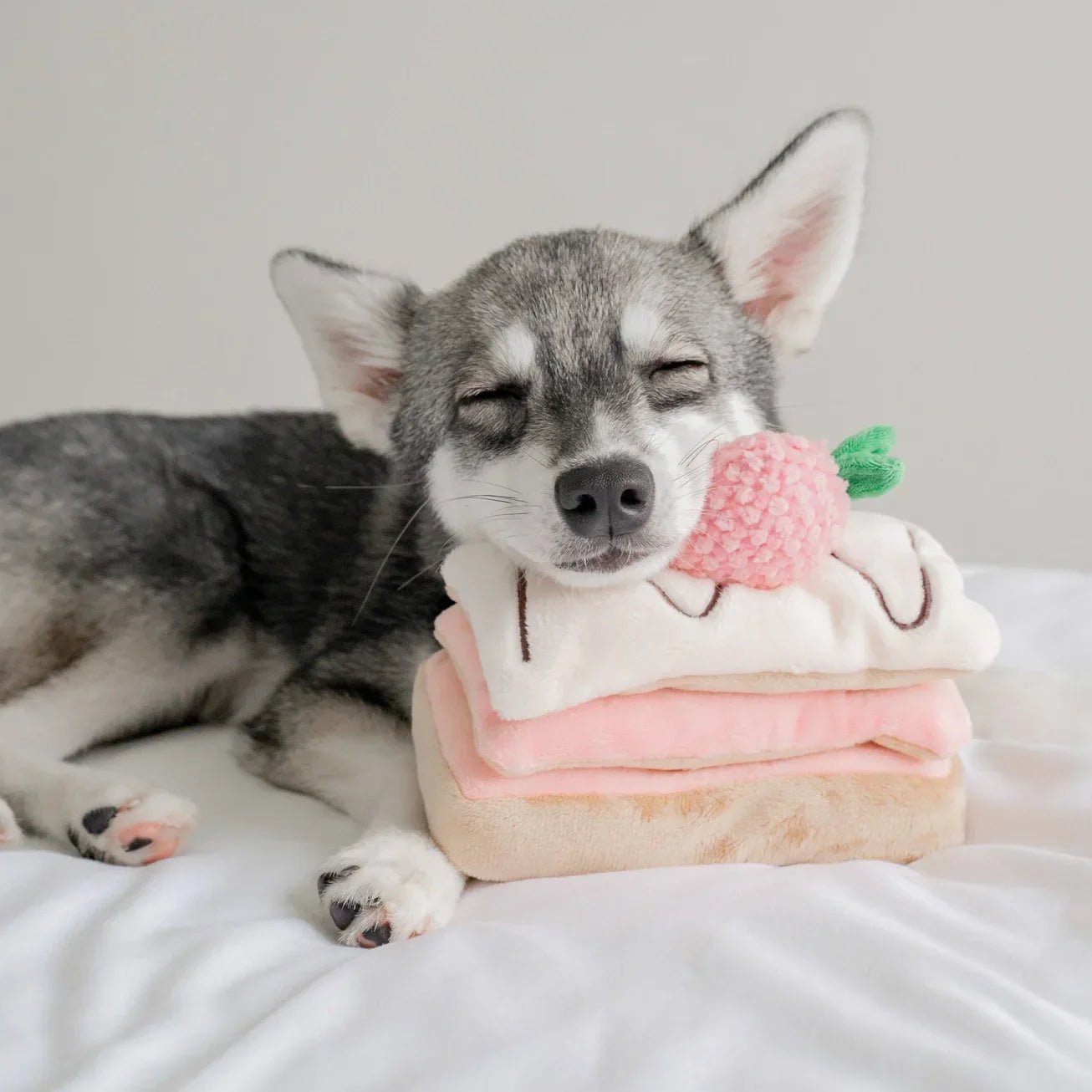 PUPS & BUBS - Jolis jouets d’occupation pour chien - DOG DéliCAT