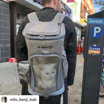 Sacs de transport pour chats - confortables et stylés - DOG DéliCAT