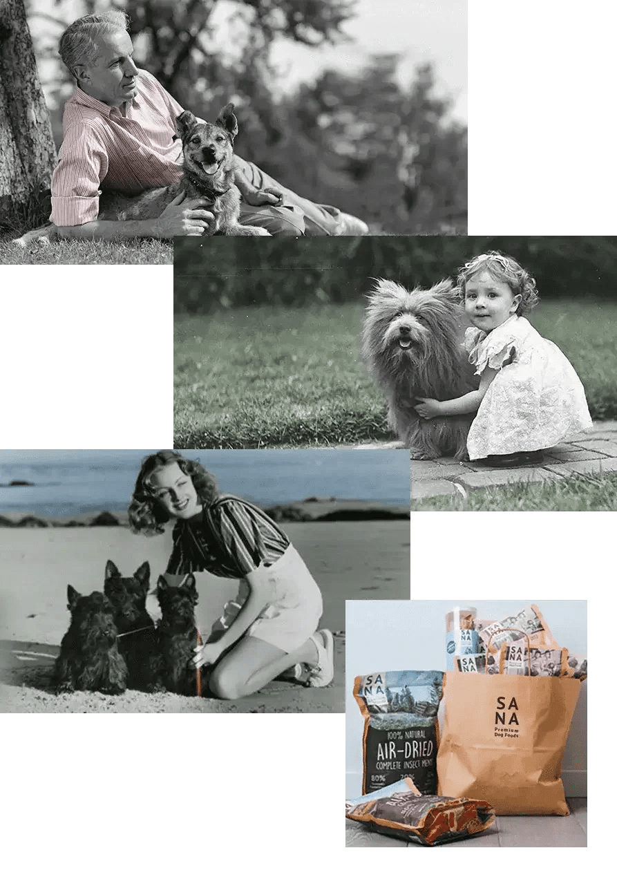 SANA - Friandises Naturelles supérieures pour Chiens - DOG DéliCAT