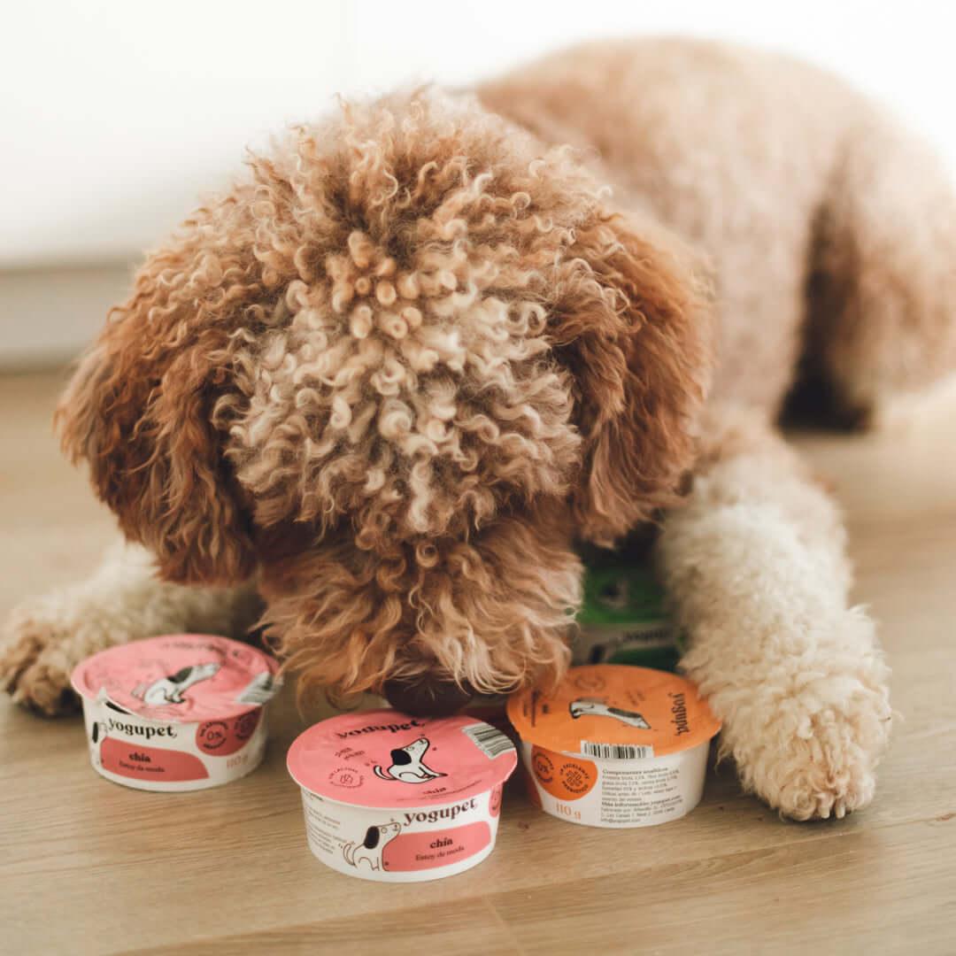 YOGUPET - Friandises fonctionnelles au Yaourt pour chiens et chats - DOG DéliCAT