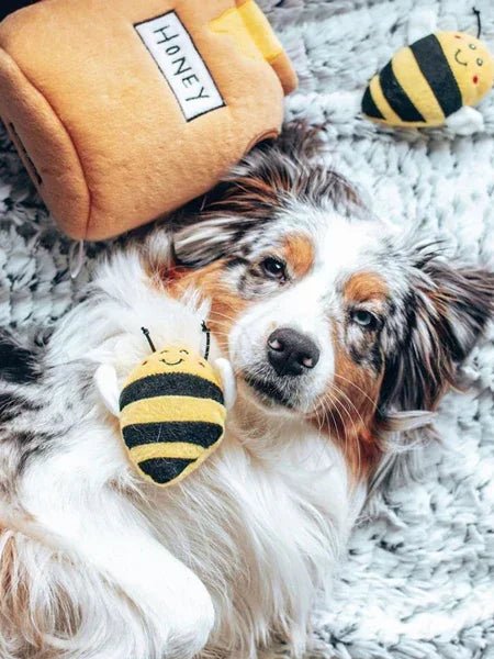 ZIPPY PAWS – Casse-têtes et peluches ludiques pour chiens - DOG DéliCAT
