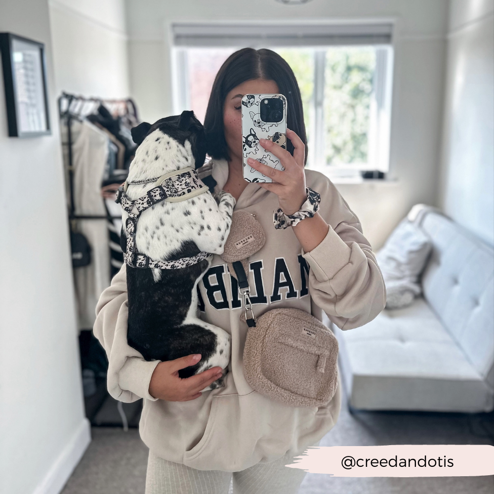 Sac de promenade pour chien - Teddy Rupert