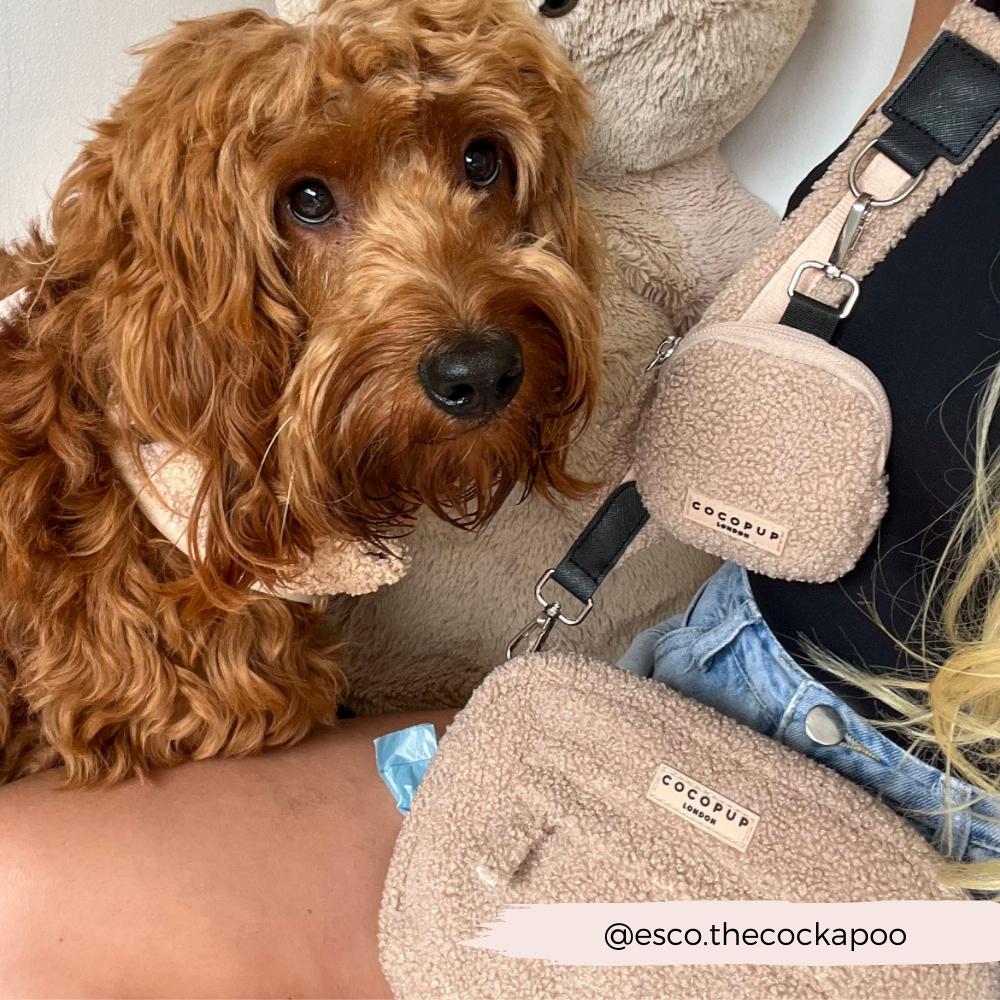 Sac de promenade pour chien - Teddy Rupert