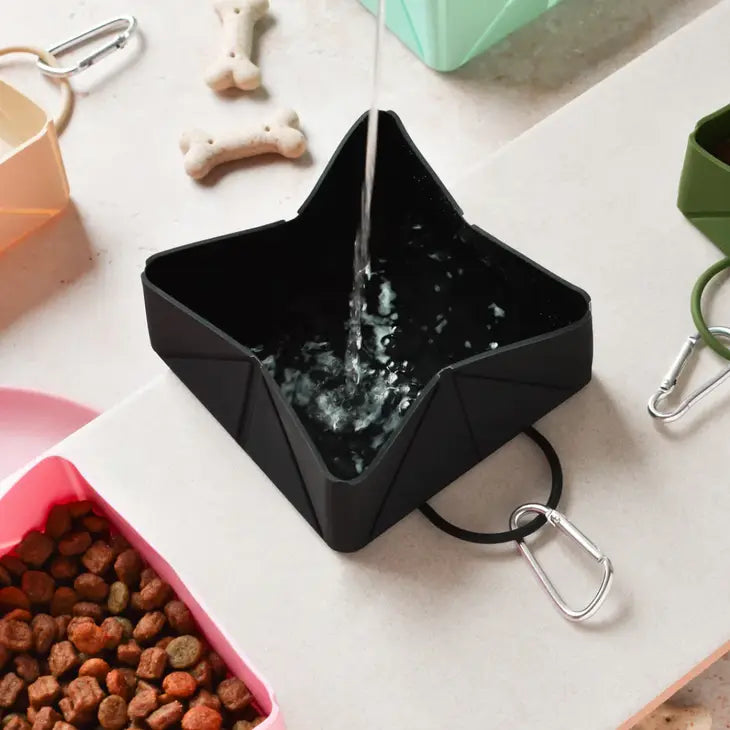 Le bol de voyage pliable de Cocopup London est l'accessoire incontournable pour les promenades avec votre chien. 