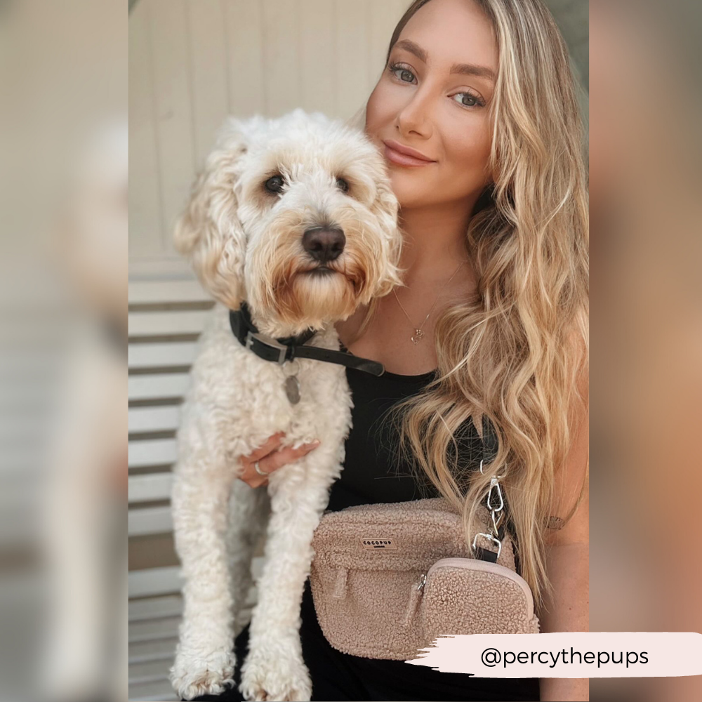 Sac de promenade pour chien - Teddy Rupert