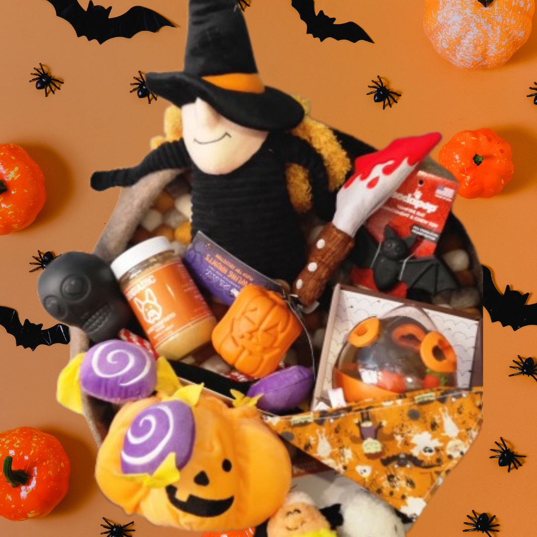 Bandanas d'Halloween