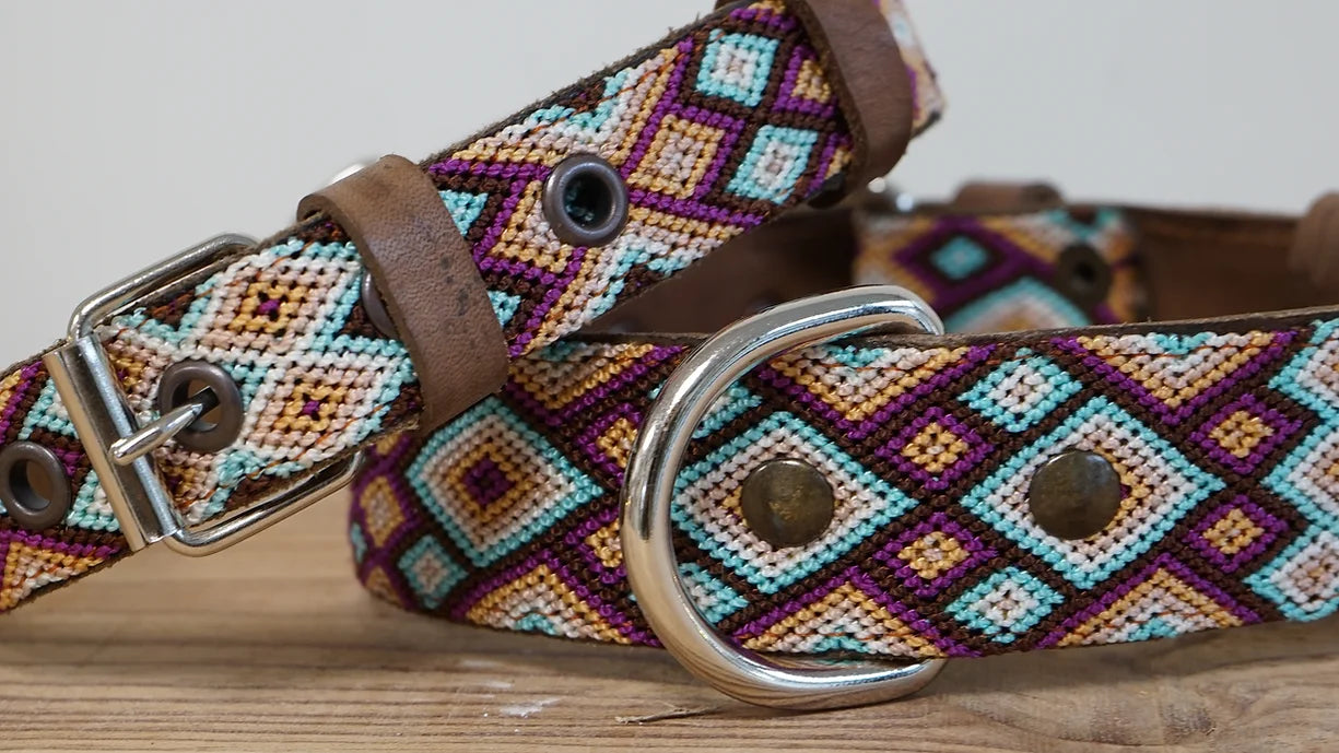 Le Collier pour Chien Taxco Mexie - Une explosion de couleurs et d'artisanat mexicain, pour un style et un confort exceptionnels.