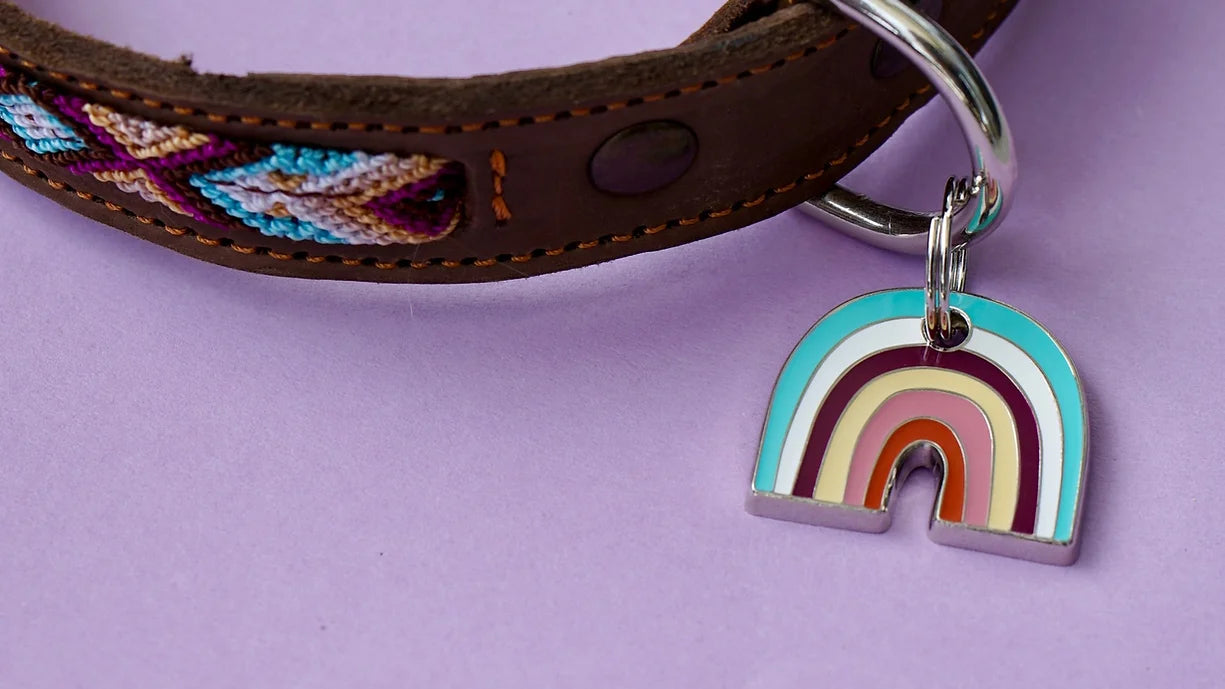 Mettez de la couleur dans vos vies avec la Médaille Chien Rainbow de Mexie chez DOG DELICAT