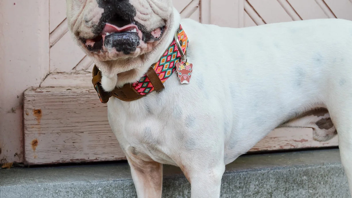 Médaille Frida Dog