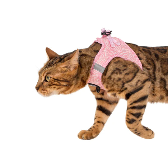 Harnais chat Pink Zebra step in