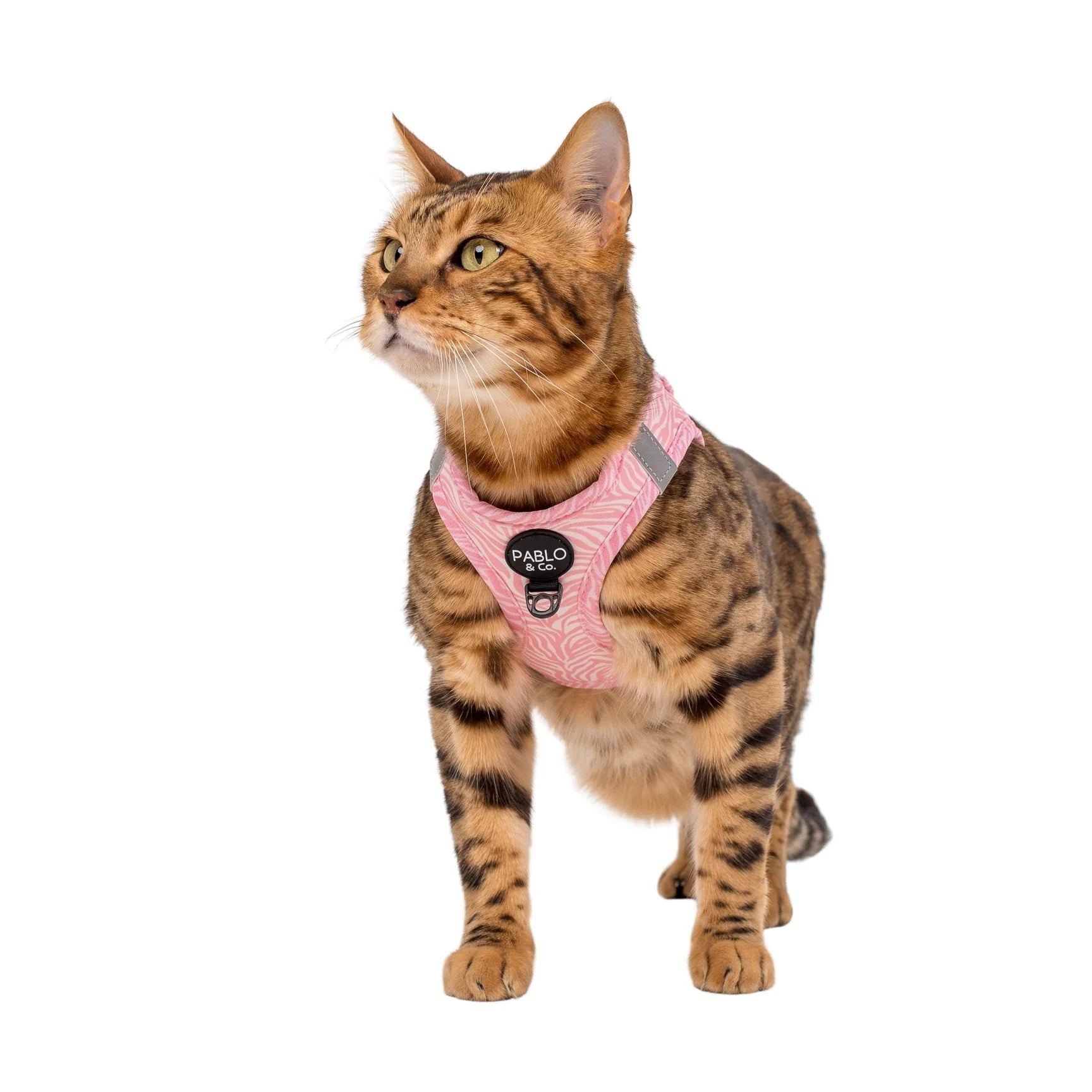 Harnais chat Pink Zebra step in