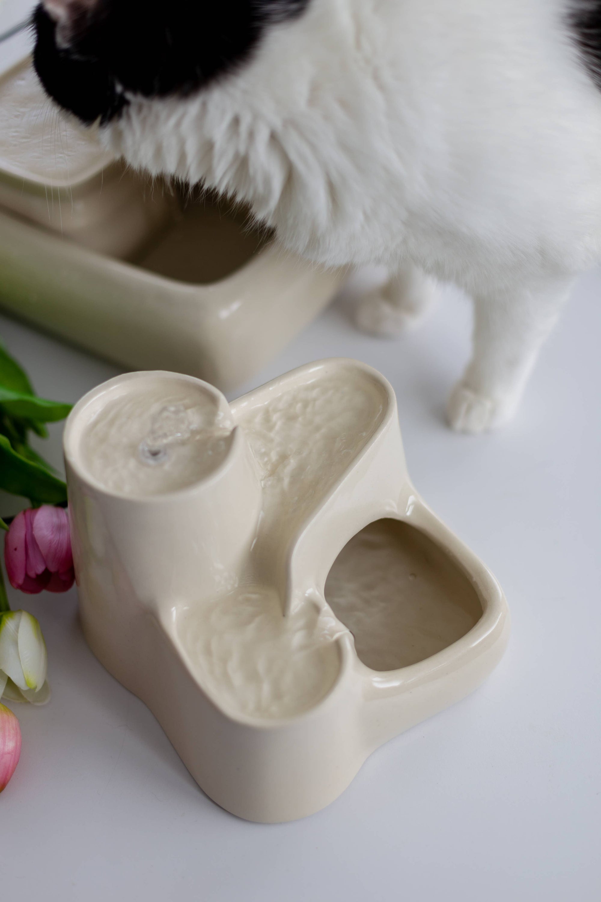 Fontaine en Céramique pour Chat - Couleur Lait